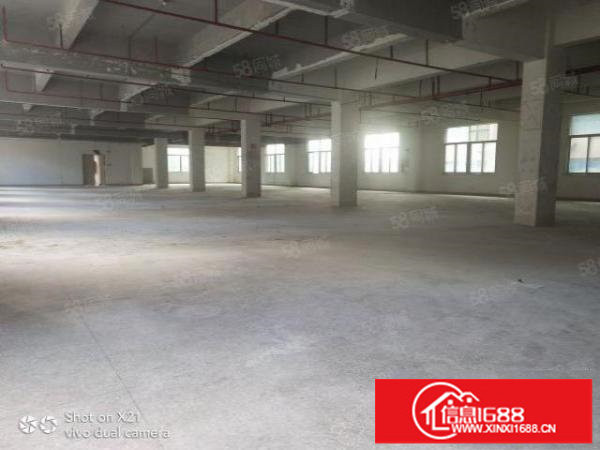 龙岗中心城独院厂房4800平米一楼1200平米500平米起租