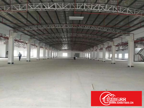 新圩新出钢构加标准厂房21690平，带现成办公室