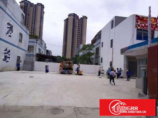 长安厂房出租厦岗2楼整层2060平，可分租，开阔视野