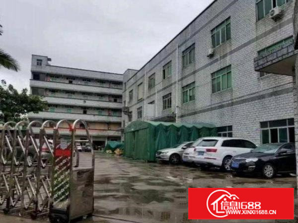 清溪松岗原房东独院厂房7500平米出租，带电梯，宿舍按需