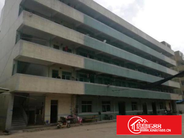 独门独院厂房面积实在