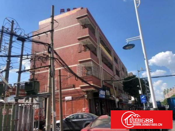 金沙洲附近罕见花园式标准混凝土厂房