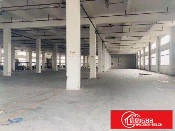 包租盘，喜欢就下手手慢就没了