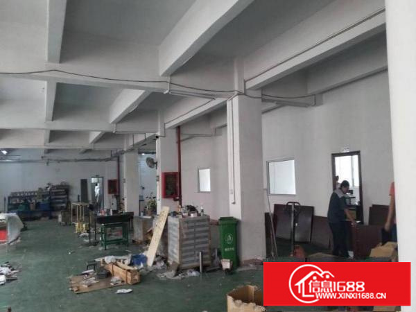 横岗西坑无公摊新出独院招租