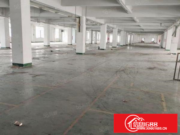 独门独院楼上厂房出租2000平方带办公室装修