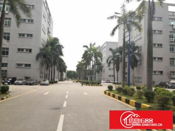 光明红本15000平