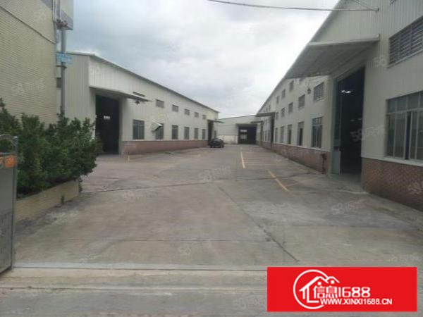 常平镇原房东分租大小(无公摊)厂房