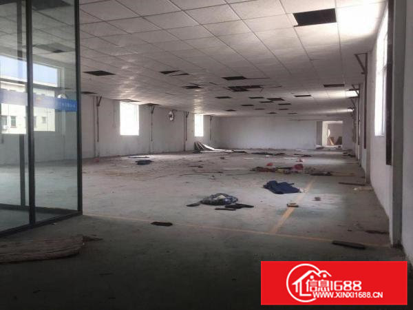 出租横沥镇东兴工业区260平方厂房，价格优惠，厂房美丽