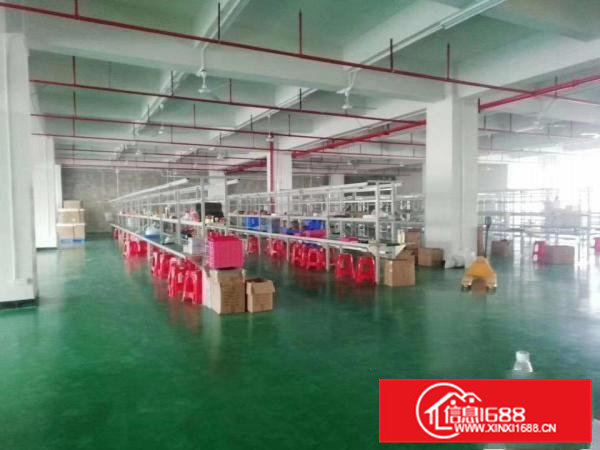 清溪三中二楼精装厂房3300平出租