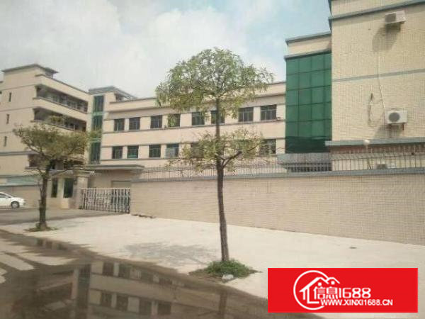 谢岗城区谢岗镇原房东独门独院厂房9600平米