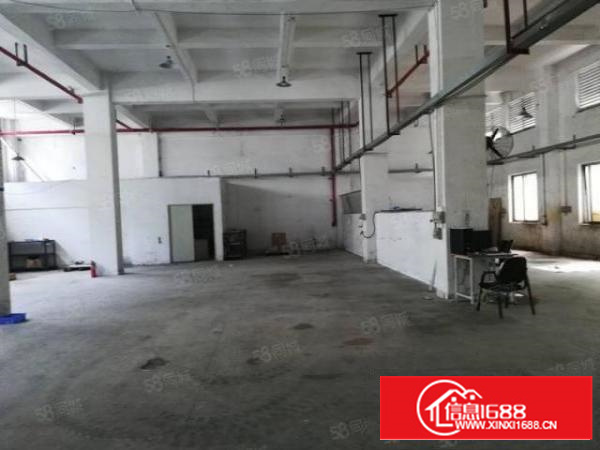 万江简沙洲独院标准厂房5700平方出租配独立变压器水电齐全