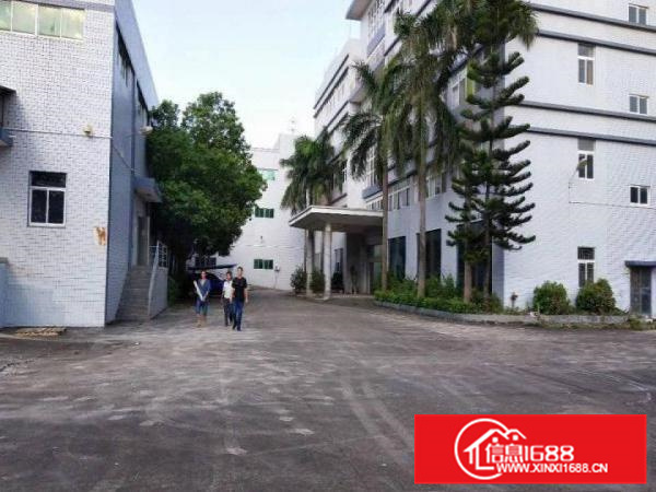 惠州大亚湾比亚迪附近新出四万独院钢构标准厂房可分租