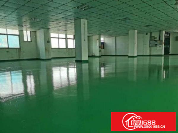 坪地高速口附近红本厂房