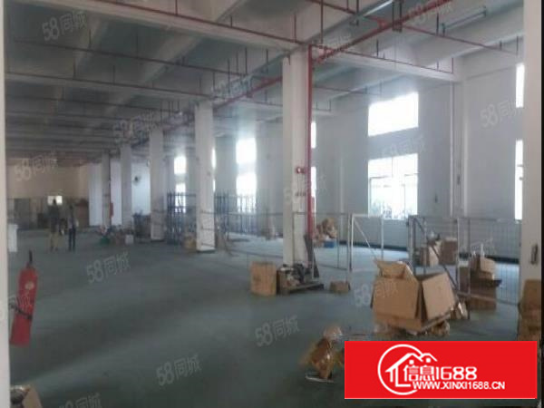 石排原房东独院厂房三楼分租700平方，现成豪华办公室现成水电