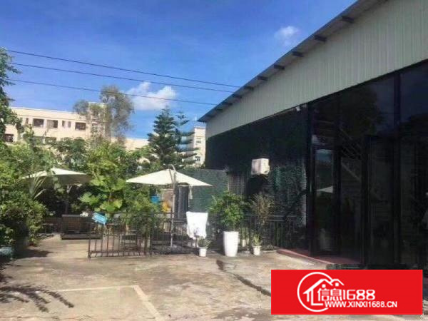 龙岗单一层钢构1200平高7米摄影办公精装修厂房出租