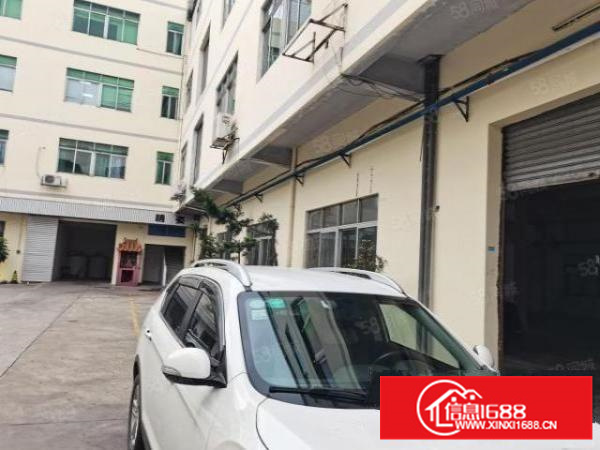 石大路边，标准独院加单一层，周边无居民可办环评，现成水电装修