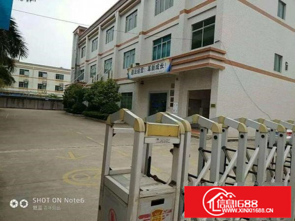 龙岗新出独院厂房4层3400平米出租租18元