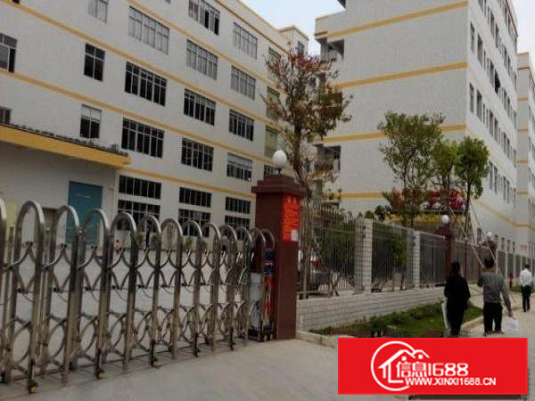 2万平方花园式厂房出租！可任意分租最小分租1000平米！