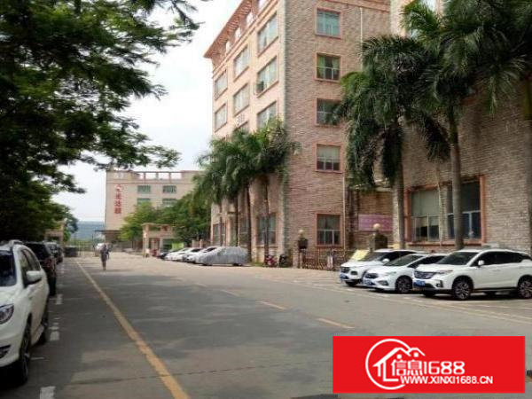 坑梓红本厂房二楼整层2700平米大型科技园分组