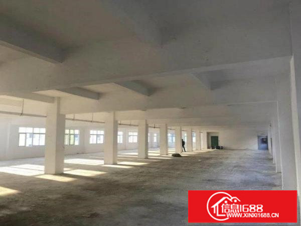 六约全新独院厂房15层7400平米，大小可分租