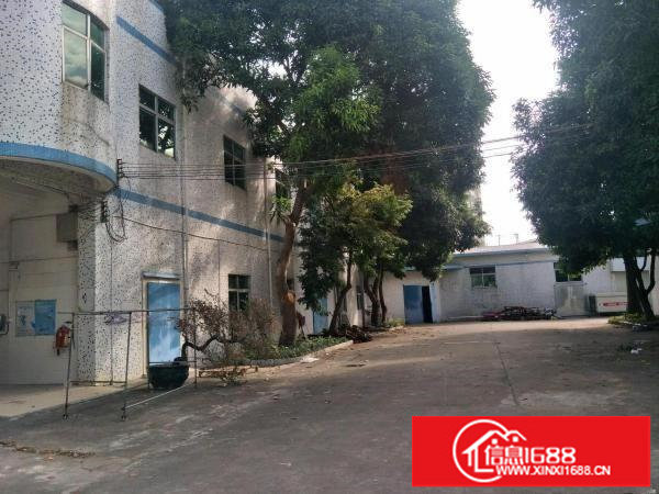 龙岗中心城地铁站旁原房东红本独院出租4000平米可做学校医院