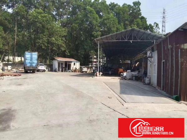 原房东钢构独院厂房(适合做任何行业)