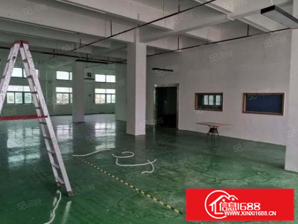 龙岗厂房出租原房东5000平独门独院有红本可办环评