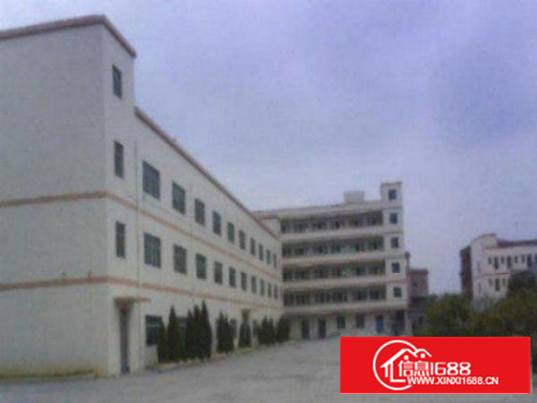 高埗独院标准楼房1栋5500平方出租宿舍1500平方电315