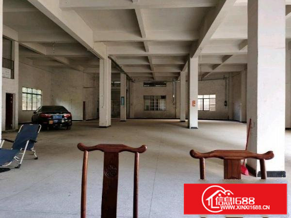 全新标准厂房一楼（6米高）