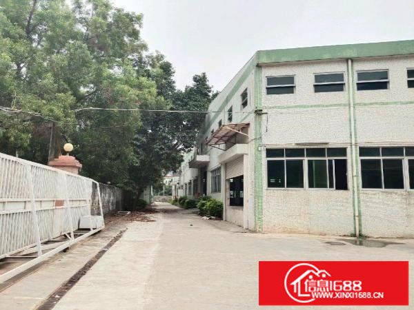 坪地独院8米高钢构厂房8000平米