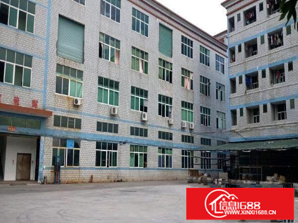 龙岗龙西北通道边，原房东标准930平带精装修标准厂房出租