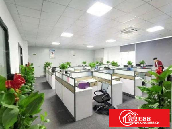 石排庙边王村一楼500平厂房招租精装修免费停车