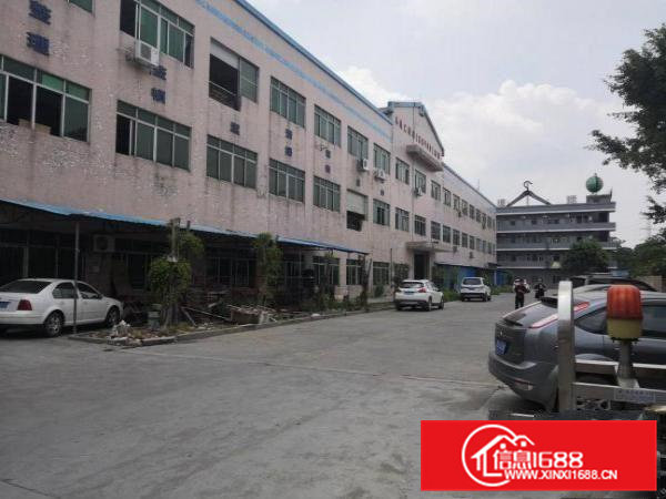 工业区标准厂房一楼800平方米出租