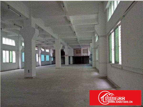 龙岗区同乐一楼550平，7米高厂房出租