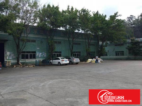 坪山沙湖市场400平方一楼钢构，7米高，带装修