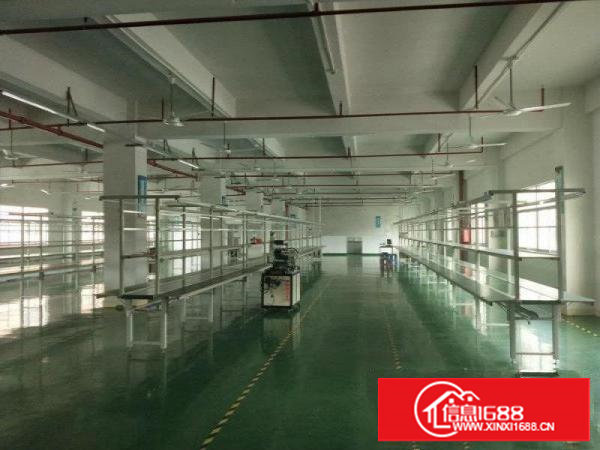 塘厦桥陇近凤岗独院标准3楼1200平方！可做电池，现成装修