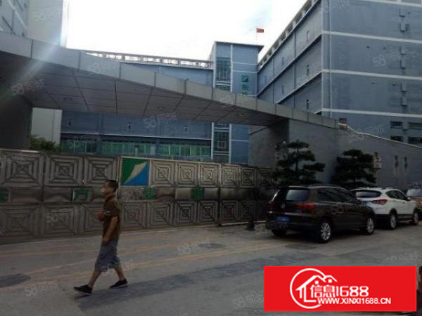 布吉新出工业园厂房1000平红本厂房喷淋消分租