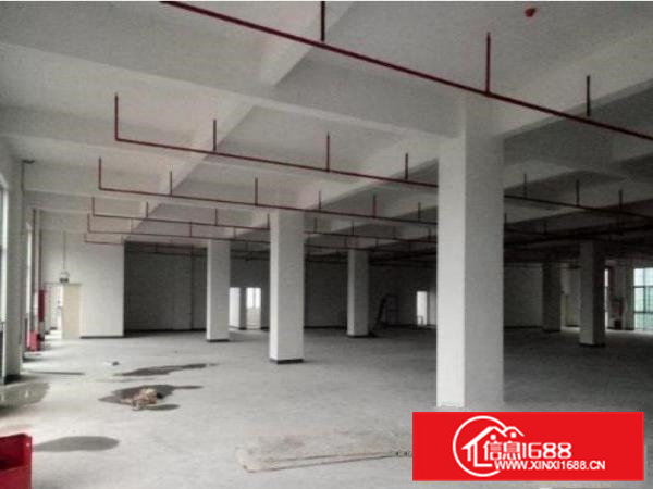 清溪荔横一楼标准厂房2400平方，带办公室