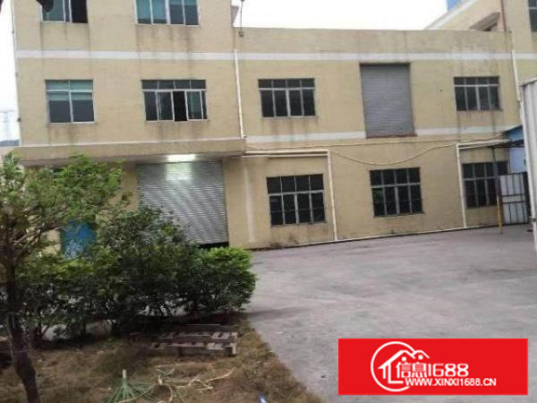 塘厦振兴围小两层独院1550平方！现成主线装修