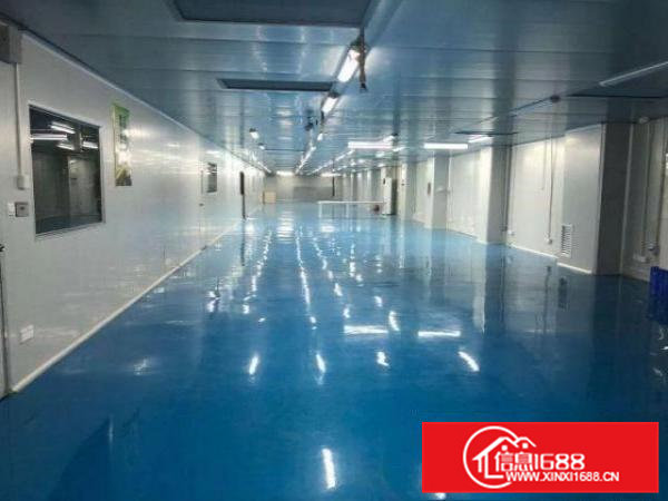 东莞寮步十万级无尘车间