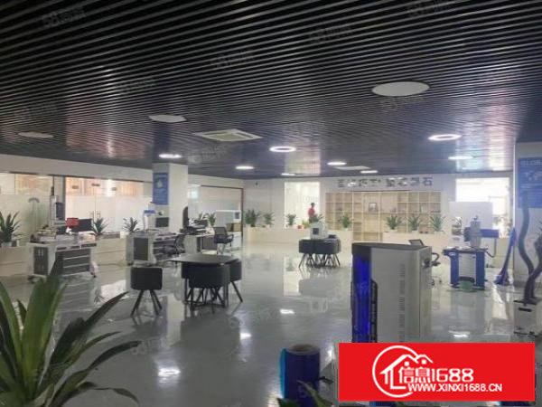 龙岗坪地新出精装修工业园1000平标准厂房出租国道边上