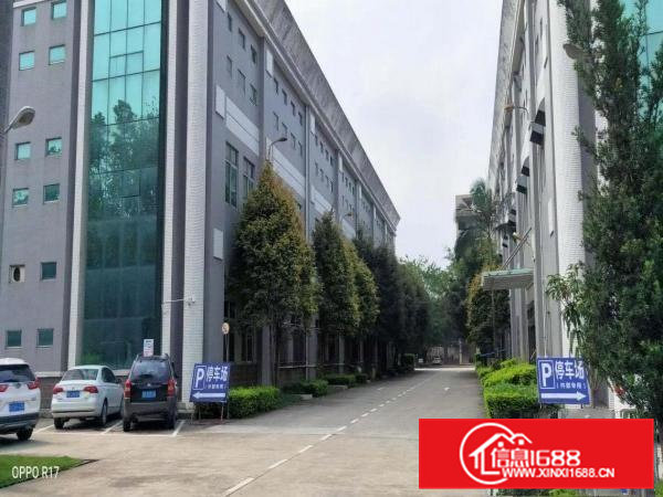 东莞常平原房东标准独门独院红本厂房20000平方