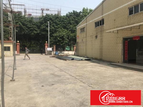 东莞桥头新出独门独院钢构单一层厂房2000平方出租可做污染