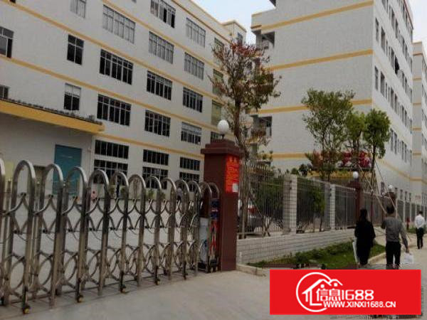 2万平方花园式厂房出租！可任意分租小分租1000平米！