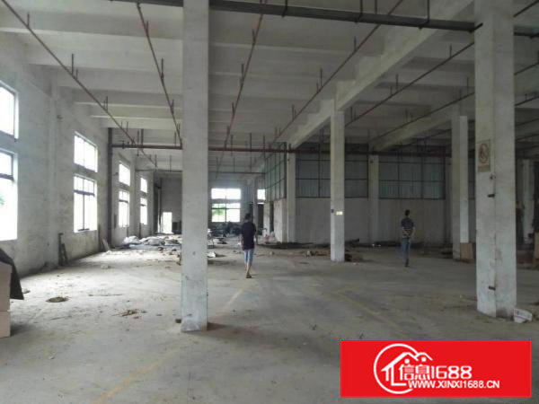 横沥新出一手房东厂房出租