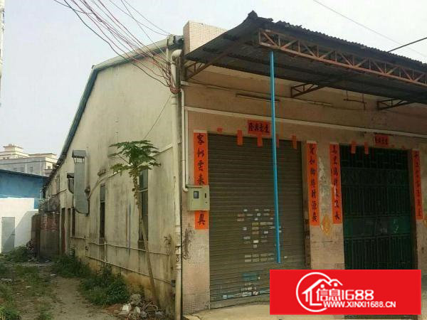 石排镇新出原房东单一层680平方出租滴水6米