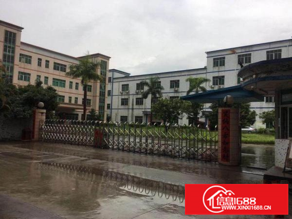 丹竹头地铁口二楼980平带装修电商办公厂房出租