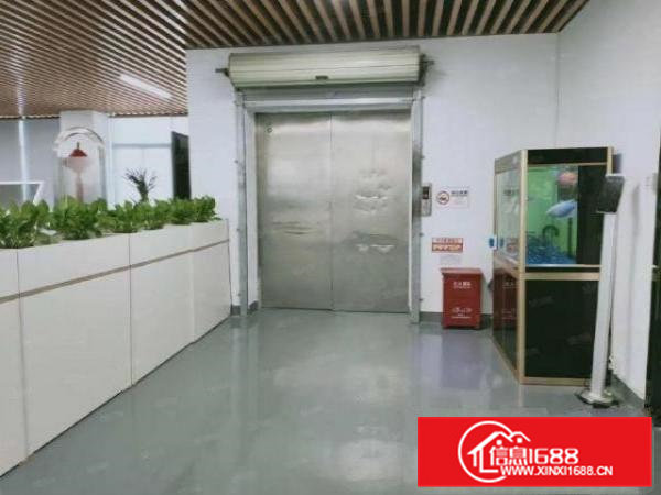 大岭山梅林村新出楼上厂房830平出租豪华装修