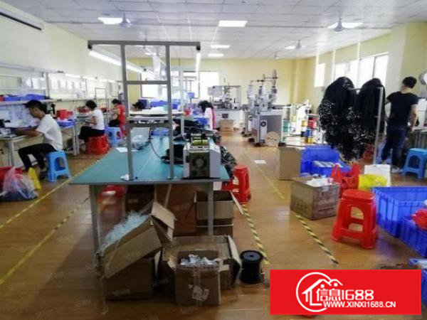 清溪大埔900平标准厂房出租有装修