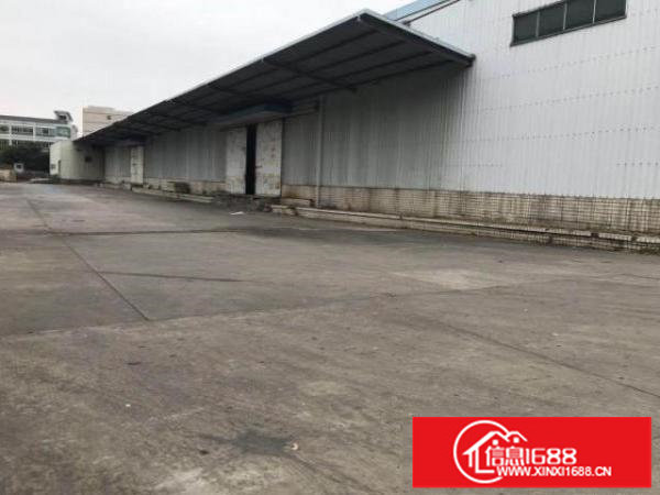 龙岗宝龙工业区独栋钢构4000平出租非常适合做物流仓库